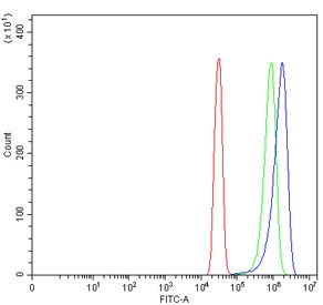 Flow cytometry testing of human SiHa cells with Carboxypeptidase O antibody at 1ug/million cells (blocked with goat sera); Red=cells alone, Green=isotype control, Blue= Carboxypeptidase O antibody.