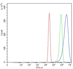 Flow cytometry testing of human SiHa cells with CTSB antibody at 1ug/million cells (blocked with goat sera); Red=cells alone, Green=isotype control, Blue= CTSB antibody.