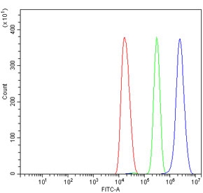 Flow cytometry testing of mouse HEPA1-6 cells with Cathepsin L antibody at 1ug/million cells (blocked with goat sera); Red=cells alone, Green=isotype control, Blue= Cathepsin L antibody.