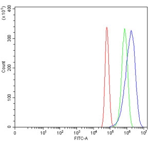 Gastrin Antibody U-87 MG FACS. Flow cytometry analysis of human U-87 MG cells stained with GAST / Gastrin Antibody demonstrates a distinct right-shifted fluorescence population relative to the isotype control, consistent with detection of Gastrin / GAST-associated peptide hormone expression in glioblastoma-derived cellular populations. This gastric peptide hormone antibody supports identification of gastrointestinal endocrine-associated signaling pathways and peptide hormone-related cellular regulation in transformed cells. Red=cells alone, Green=isotype control, Blue=GAST antibody.