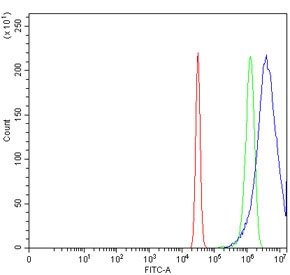 Flow cytometry testing of fixed and permeabilized human HeLa cells with Krueppel-like factor 4 antibody at 1ug/million cells (blocked with goat sera); Red=cells alone, Green=isotype control, Blue= Krueppel-like factor 4 antibody.