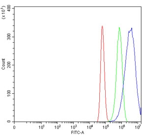 NEDD4 Antibody U-87 MG Cells FACS. Flow cytometry testing of human U-87 MG cells with NEDD4 antibody at 1ug/million cells (blocked with goat sera); Red=cells alone, Green=isotype control, Blue= NEDD4 antibody.
