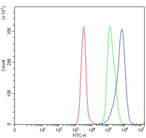 Flow cytometry testing of human Daudi cells with NLRP7 antibody at 1ug/million cells (blocked with goat sera); Red=cells alone, Green=isotype control, Blue= NLRP7 antibody.