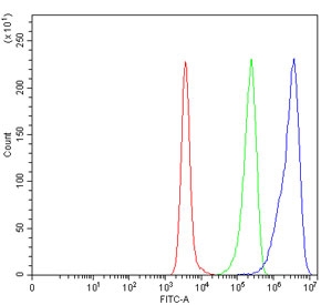 Flow cytometry testing of human Daudi cells with ACADM antibody at 1ug/million cells (blocked with goat sera); Red=cells alone, Green=isotype control, Blue= ACADM antibody.