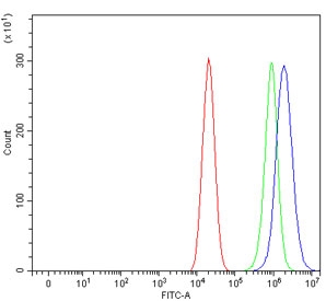 Flow cytometry testing of human Caco-2 cells with HRS antibody at 1ug/million cells (blocked with goat sera); Red=cells alone, Green=isotype control, Blue= HRS antibody.