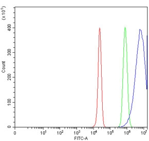 Flow cytometry testing of human HepG2 cells with AGT antibody at 1ug/million cells (blocked with goat sera); Red=cells alone, Green=isotype control, Blue= AGT antibody.