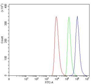 Flow cytometry testing of human HEL cells with ANXA4 antibody at 1ug/million cells (blocked with goat sera); Red=cells alone, Green=isotype control, Blue= ANXA4 antibody.