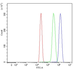 Flow cytometry testing of human HL60 cells with LARG antibody at 1ug/million cells (blocked with goat sera); Red=cells alone, Green=isotype control, Blue= LARG antibody.
