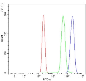Flow cytometry testing of human HL60 cells with E2F transcription factor 3 antibody at 1ug/million cells (blocked with goat sera); Red=cells alone, Green=isotype control, Blue= E2F transcription factor 3 antibody.