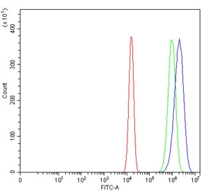 eIF-3 p48 Antibody U-2 OS FACS. Flow cytometry was performed on fixed and permeabilized human U-2 OS cells using eIF-3 p48 Antibody / INT6 Antibody at 1 ug/million cells following blocking with goat serum. Red: cells alone; green: isotype control; blue: eIF-3 p48 Antibody. The antibody-stained population displays a clear rightward shift relative to the isotype control, demonstrating specific intracellular detection of eIF-3 p48 (INT6/EIF3E). These results demonstrate that this INT6 Antibody is suitable for flow cytometric detection of eIF-3 p48 in human cells.
