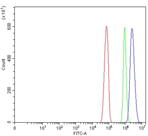 Flow cytometry testing of rat RH35 cells with Eukaryotic translation initiation factor 5A-1 antibody at 1ug/million cells (blocked with goat sera); Red=cells alone, Green=isotype control, Blue= Eukaryotic translation initiation factor 5A-1 antibody.