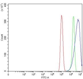 Flow cytometry testing of human PC-3 cells with Eph receptor A3 antibody at 1ug/million cells (blocked with goat sera); Red=cells alone, Green=isotype control, Blue= Eph receptor A3 antibody.