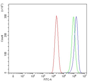 Flow cytometry testing of human Caco-2 cells with Homogentisate 1,2-dioxygenase antibody at 1ug/million cells (blocked with goat sera); Red=cells alone, Green=isotype control, Blue= Homogentisate 1,2-dioxygenase antibody.