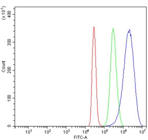 Flow cytometry testing of human HepG2 cells with AHSA1 antibody at 1ug/million cells (blocked with goat sera); Red=cells alone, Green=isotype control, Blue= AHSA1 antibody.