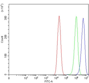 Flow cytometry testing of human Caco-2 cells with PTP1C antibody at 1ug/million cells (blocked with goat sera); Red=cells alone, Green=isotype control, Blue= PTP1C antibody.