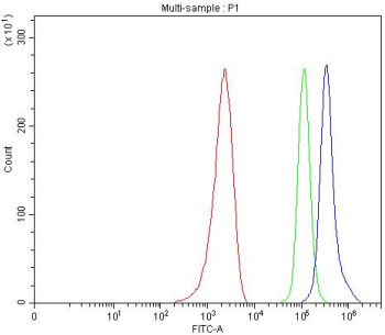 Flow cytometry testing of fixed and permeabilized human MCF7 cells with RAD50 antibody at 1ug/million cells (blocked with goat sera); Red=cells alone, Green=isotype control, Blue= RAD50 antibody.