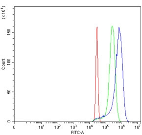 Flow cytometry testing of human HeLa cells with p53 binding protein 1 antibody at 1ug/million cells (blocked with goat sera); Red=cells alone, Green=isotype control, Blue= p53 binding protein 1 antibody.
