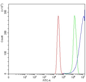 Flow cytometry testing of human MCF7 cells with Argonaute 1 antibody at 1ug/million cells (blocked with goat sera); Red=cells alone, Green=isotype control, Blue= Argonaute 1 antibody.