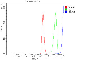 CD171 Antibody Human Caco-2 Colorectal Cancer Cell FACS. Flow cytometry analysis of fixed and permeabilized human Caco-2 colorectal cancer cells using CD171 Antibody / L1 Cell Adhesion Molecule Antibody at 1 ug/1x10^6 cells. Cells were blocked with 10% normal goat serum and incubated with primary antibody for 30 min at 20oC, followed by DyLight 488-conjugated goat anti-rabbit IgG. The blue histogram represents CD171 antibody staining, green represents the isotype control, and red represents the blank control. The strong fluorescence shift demonstrates detection of CD171 in Caco-2 cells by flow cytometry.