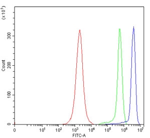 Flow cytometry testing of human JK cells with NDFIP2 antibody at 1ug/million cells (blocked with goat sera); Red=cells alone, Green=isotype control, Blue= NDFIP2 antibody.