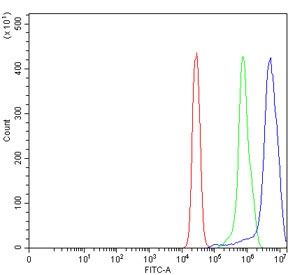 SLC4A1 Antibody HepG2 FACS. Flow cytometric analysis of human HepG2 cells using SLC4A1 Antibody / Erythrocyte Membrane Protein Antibody demonstrates a pronounced rightward shift of the SLC4A1-positive population (blue) relative to both the isotype control (green) and unstained cells (red), consistent with expression of SLC4A1. Also known as AE1 or Band 3, SLC4A1 functions as a chloride/bicarbonate exchanger involved in ion transport, acid-base regulation, and maintenance of cellular homeostasis. The distinct fluorescence shift supports the utility of this antibody for flow cytometric detection of SLC4A1 expression. Red=cells alone; Green=isotype control; Blue=SLC4A1 antibody.