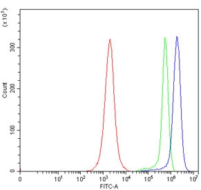 Flow cytometry testing of human JK cells with PMPCB antibody at 1ug/million cells (blocked with goat sera); Red=cells alone, Green=isotype control, Blue= PMPCB antibody.