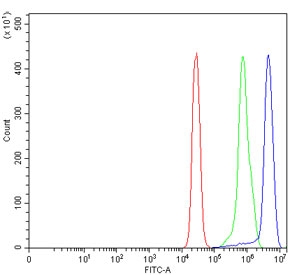 Flow cytometry testing of human HepG2 cells with ANXA3 antibody at 1ug/million cells (blocked with goat sera); Red=cells alone, Green=isotype control, Blue= ANXA3 antibody.