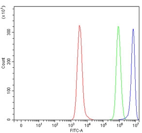 HLA-DRA Antibody for FACS testing of human Daudi cells by flow cytometry. Mouse monoclonal HLA-DRA antibody (clone 5B13F7) was used at 1 ug per million cells after blocking with goat serum. Red histogram shows cells alone, green represents isotype control staining, and blue indicates HLA-DRA antibody staining. A clear rightward shift indicates expression of Human leukocyte antigen DR alpha / HLA-DRA on Daudi B lymphoblastoid cells.
