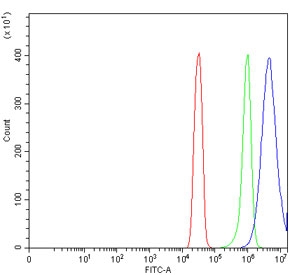 Flow cytometry testing of human SiHa cells with ARHGAP45 antibody at 1ug/million cells (blocked with goat sera); Red=cells alone, Green=isotype control, Blue= ARHGAP45 antibody.