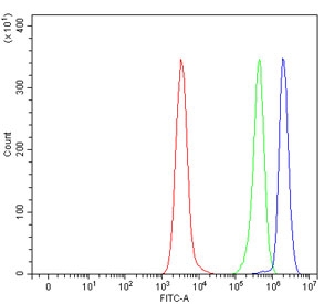 Flow cytometry testing of fixed human Daudi cells with ATP4A antibody at 1ug/million cells (blocked with goat sera); Red=cells alone, Green=isotype control, Blue= ATP4A antibody.