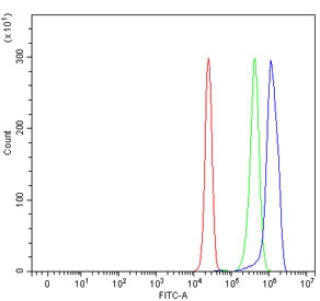 Flow cytometry testing of human HepG2 cells with AXIN2 antibody at 1ug/million cells (blocked with goat sera); Red=cells alone, Green=isotype control, Blue= AXIN2 antibody.