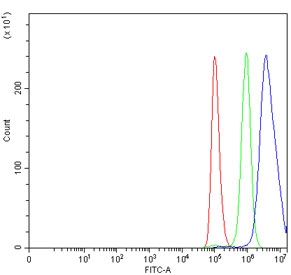 Flow cytometry testing of human A549 cells with Embryonic ectoderm development protein antibody at 1ug/million cells (blocked with goat sera); Red=cells alone, Green=isotype control, Blue= Embryonic ectoderm development protein antibody.