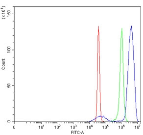 ELK1 Antibody FACS. Flow cytometry testing of human SiHa cells with ELK1 antibody at 1ug/million cells (blocked with goat sera); Red=cells alone, Green=isotype control, Blue= ELK1 antibody.