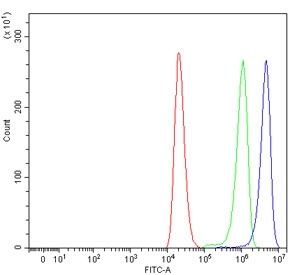 HER2 Antibody 239T FACS. Flow cytometry testing of human 293T cells with HER2 antibody at 1ug/million cells (blocked with goat sera); Red=cells alone, Green=isotype control, Blue= HER2 antibody.