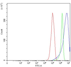 Flow cytometry testing of human RT4 cells with FKBP1A/B antibody at 1ug/million cells (blocked with goat sera); Red=cells alone, Green=isotype control, Blue= FKBP1A/B antibody.