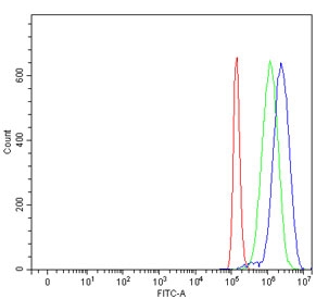 Flow cytometry testing of human PC-3 cells with AMPK gamma 2 antibody at 1ug/million cells (blocked with goat sera); Red=cells alone, Green=isotype control, Blue= AMPK gamma 2 antibody.