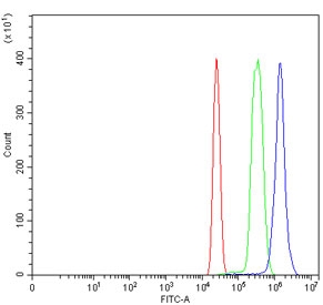 RAD21 Antibody Human Immune Cell FACS. Flow cytometric analysis of human HL60 cells using RAD21 Antibody at 1 ug/million cells. Cells were blocked with goat serum and compared against cells alone (red) and isotype control (green). RAD21 Antibody, a Cohesin Complex Protein Antibody, demonstrates a clear positive shift (blue), confirming RAD21 detection in HL60 cells and supporting its use for studying cohesin complex function, chromosome organization, and genome stability pathways.