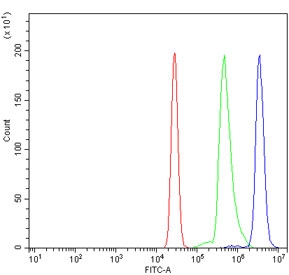Flow cytometry testing of human U937 cells with RNF8 antibody at 1ug/million cells (blocked with goat sera); Red=cells alone, Green=isotype control, Blue= RNF8 antibody.