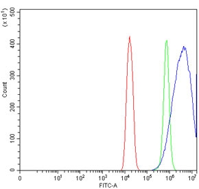 NEDD4 Antibody FACS. Flow cytometry testing of mouse HEPA1-6 cells with NEDD4 antibody at 1ug/million cells (blocked with goat sera); Red=cells alone, Green=isotype control, Blue= NEDD4 antibody.