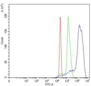 Flow cytometry testing of human U937 cells with NOP58 antibody at 1ug/million cells (blocked with goat sera); Red=cells alone, Green=isotype control, Blue= NOP58 antibody.