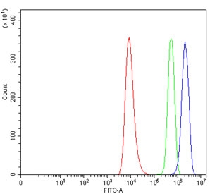 Flow cytometry testing of human HEL cells with PSMB4 antibody at 1ug/million cells (blocked with goat sera); Red=cells alone, Green=isotype control, Blue= PSMB4 antibody.