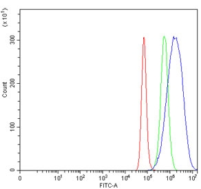 Flow cytometry testing of human HeLa cells with TIP49A antibody at 1ug/million cells (blocked with goat sera); Red=cells alone, Green=isotype control, Blue= TIP49A antibody.