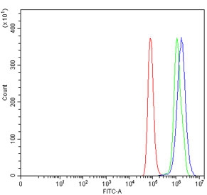 Flow cytometry testing of human HeLa cells with SEPT4 antibody at 1ug/million cells (blocked with goat sera); Red=cells alone, Green=isotype control, Blue= SEPT4 antibody.