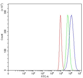 Flow cytometry testing of human HeLa cells with SEPT7 antibody at 1ug/million cells (blocked with goat sera); Red=cells alone, Green=isotype control, Blue= SEPT7 antibody.
