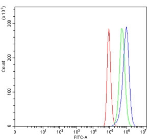 Flow cytometry testing of fixed and permeabilized human HeLa cells with SEPT9 antibody at 1ug/million cells (blocked with goat sera); Red=cells alone, Green=isotype control, Blue= SEPT9 antibody.