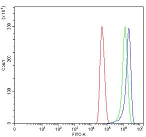 Flow cytometry testing of fixed and permeabilized human U-251 cells with SEPT9 antibody at 1ug/million cells (blocked with goat sera); Red=cells alone, Green=isotype control, Blue= SEPT9 antibody.