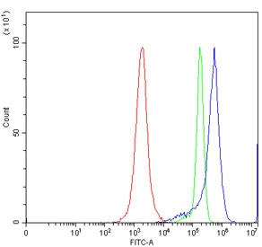 IRF7 Antibody Human JK Cell FACS. Flow cytometry analysis of human JK cells using IRF7 Antibody / Antiviral Response Protein Antibody demonstrates a clear rightward shift of the positive cell population (blue) relative to the isotype control (green) and unstained cells (red), consistent with specific detection of Interferon Regulatory Factor 7 (IRF7). IRF7 is a transcription factor that functions as a master regulator of type I interferon production and antiviral immune responses. The observed staining profile supports expression of IRF7 in JK cells and is consistent with its established role in innate immune signaling, interferon pathway activation, and host defense mechanisms. Cells were stained using 1 Âµg antibody per million cells following blocking with goat serum. Red = cells alone; Green = isotype control; Blue = IRF7 antibody.