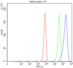 Flow cytometry testing of fixed and permeabilized human K562 cells with MARS1 antibody at 1ug/million cells (blocked with goat sera); Red=cells alone, Green=isotype control, Blue= MARS1 antibody.