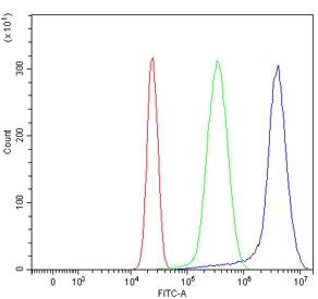Flow cytometry testing of human HepG2 cells with STK15 antibody at 1ug/million cells (blocked with goat sera); Red=cells alone, Green=isotype control, Blue= STK15 antibody.