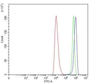 Flow cytometry testing of human HEL cells with HMG CoA Reductase antibody at 1ug/million cells (blocked with goat sera); Red=cells alone, Green=isotype control, Blue= HMG CoA Reductase antibody.